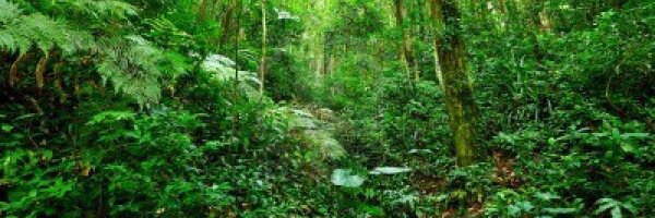 AHiddenMisfit Profile Banner