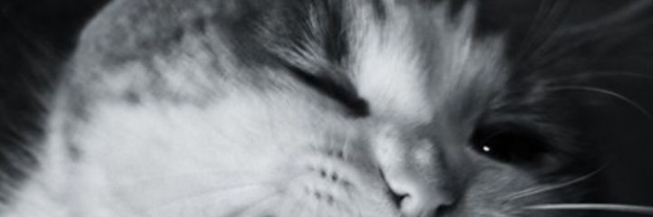 AtaberkAfcn's profile banner image