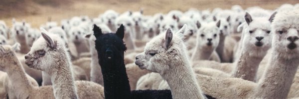 weekseric8 Profile Banner