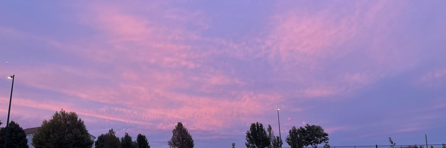 PaolaPinon's profile banner image