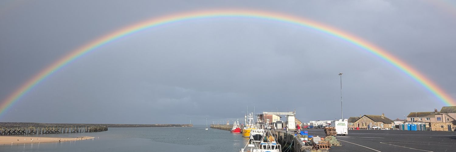 Mel🏊♥️ banner