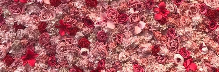 maaa_ya313's profile banner image