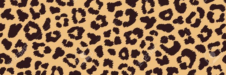 Juuly_Cachj's profile banner image