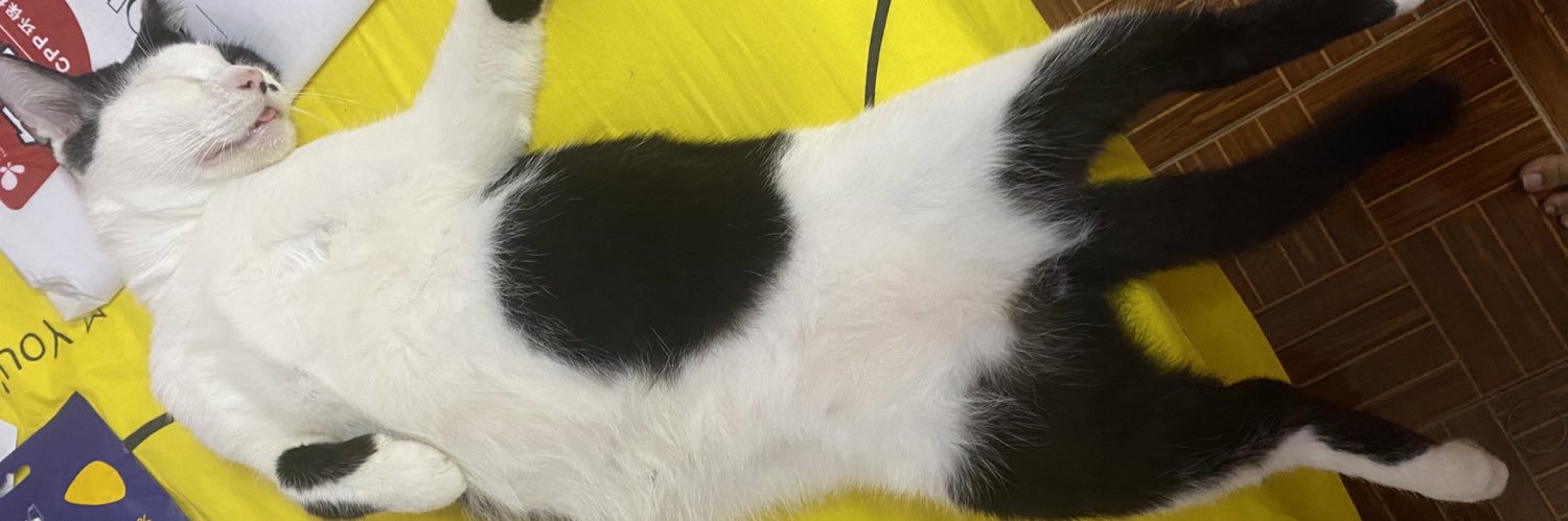 🐈🐈‍⬛🐕's banner