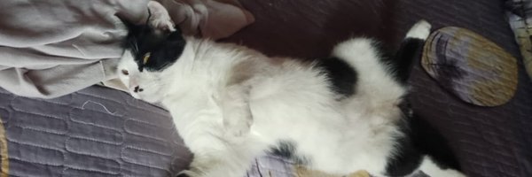 ianyumeow Profile Banner