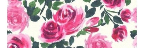 draoxitocin's profile banner image