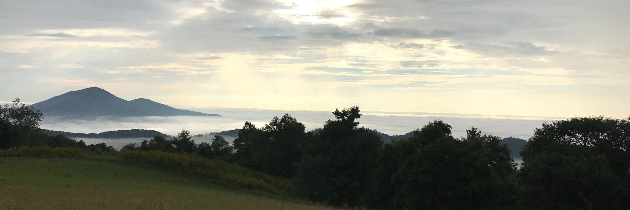ChantillyFarm's profile banner image
