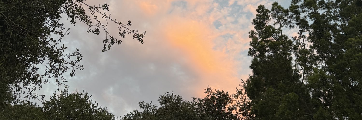omarguti_'s profile banner image