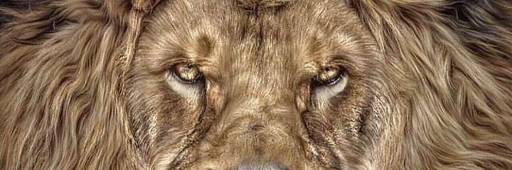 JacsonPires's profile banner image