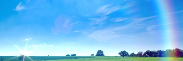 kittybaii Profile Banner