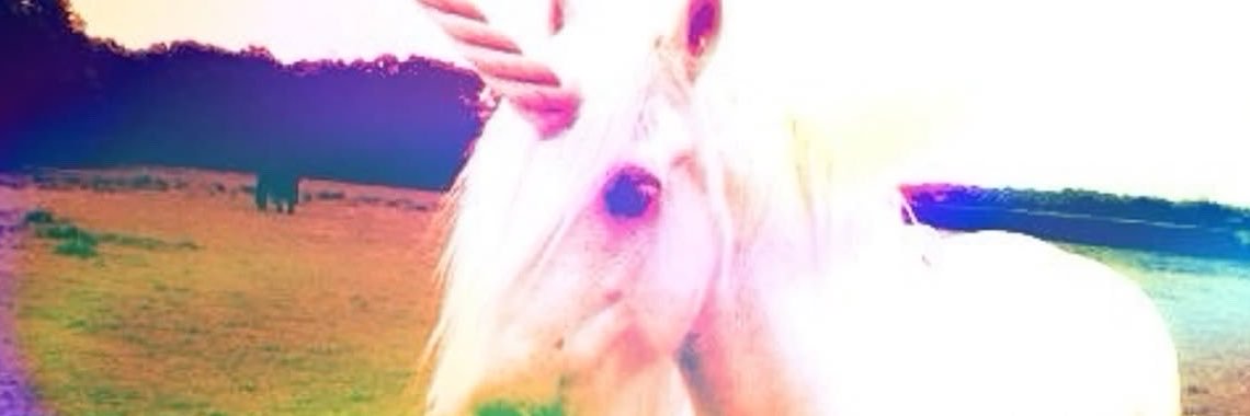 unicornfarf1's profile banner image