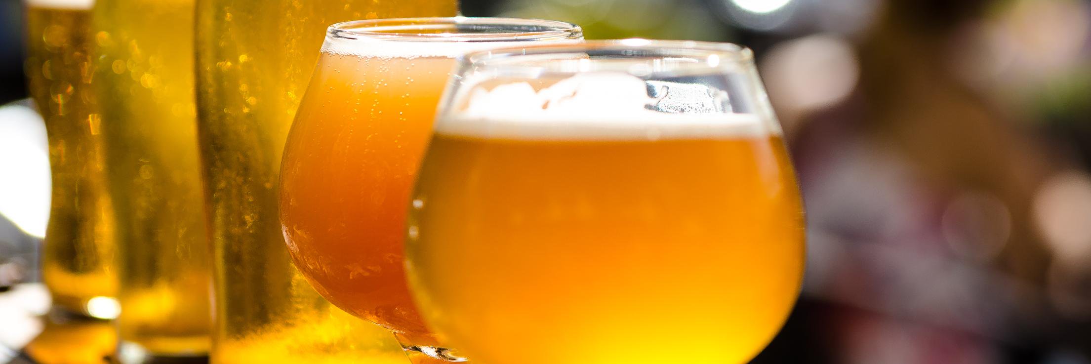 Stray Dog Brewing Co banner