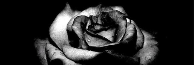britttleighh's profile banner image