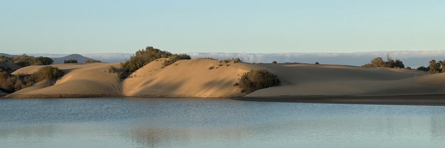 Michel de Bruin banner