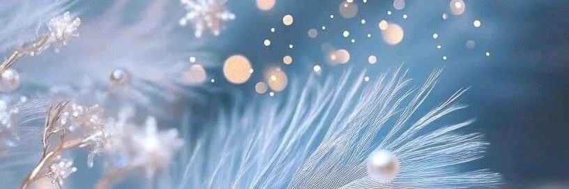 りり⚜️ banner