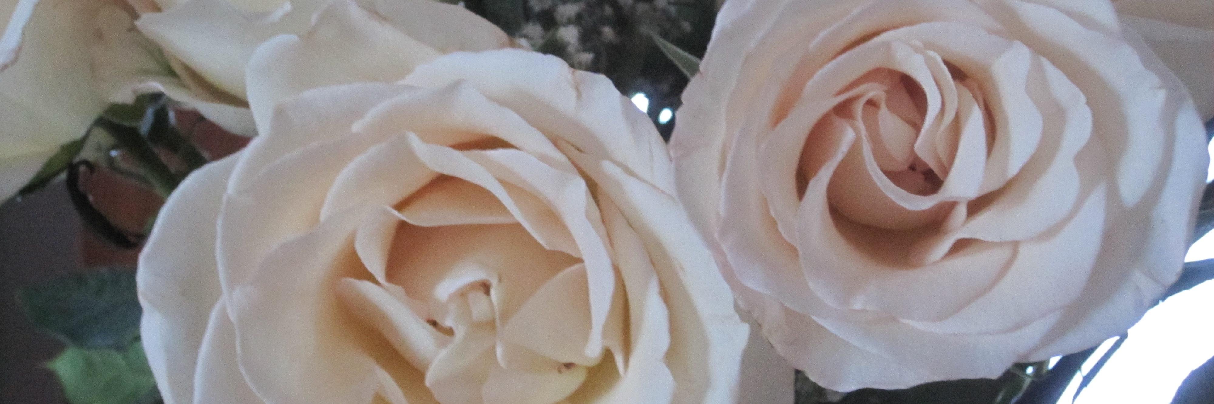 moreindecor's profile banner image
