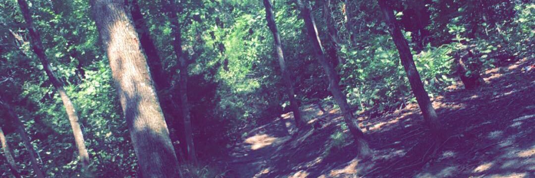 Donovan_walkerr's profile banner image