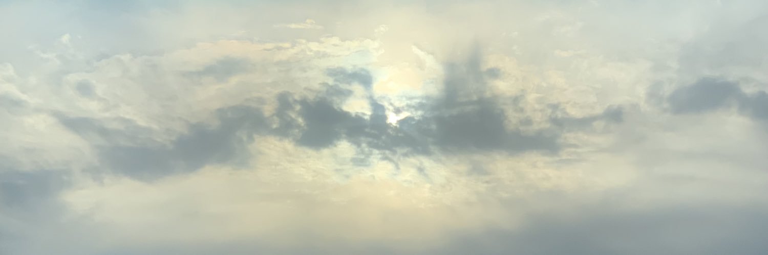 gmelena16's profile banner image