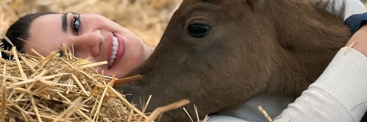 Y_No0r's profile banner image