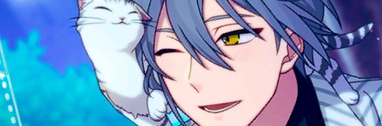 いるかみ@フラフェスありがとう banner