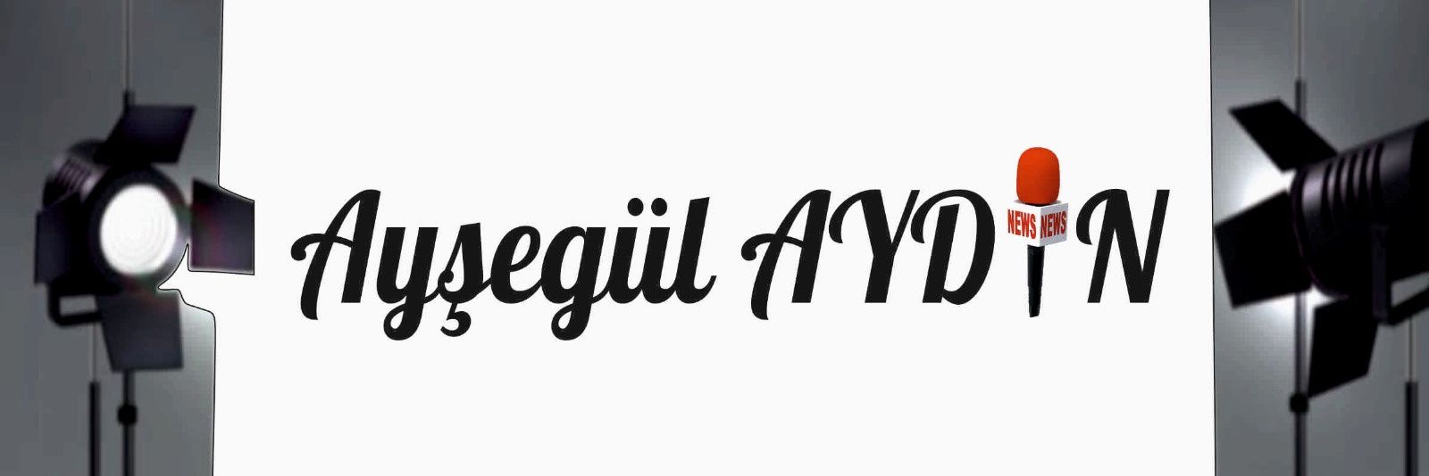 aysegulsays's profile banner image