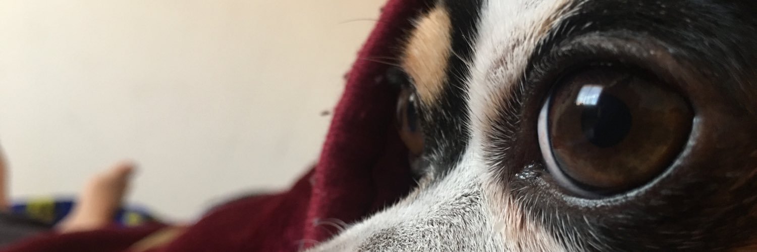 seracoca_95's profile banner image
