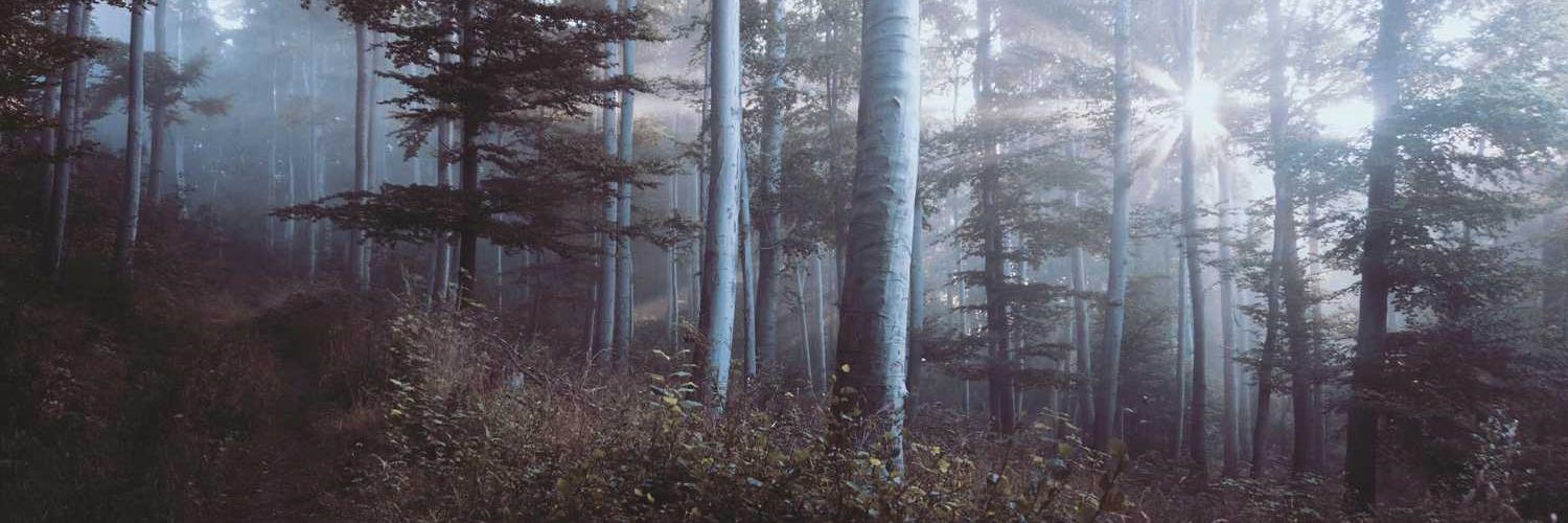 howarisa000's profile banner image