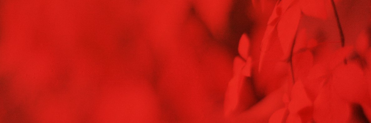 Mlcastl's profile banner image