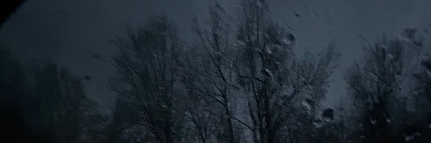 nancy_3x's profile banner image