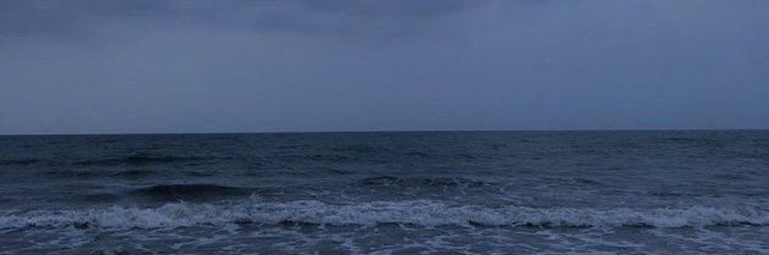 polemical👀 banner