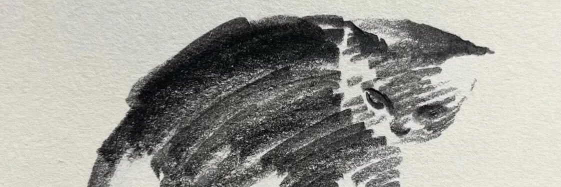 Ch83546's profile banner image