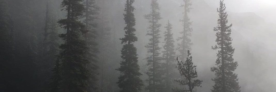 leo’s brain banner