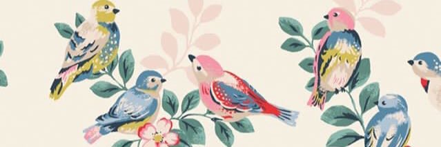 sofiacquarone's profile banner image