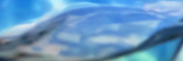 _SatoRyuga_ Profile Banner