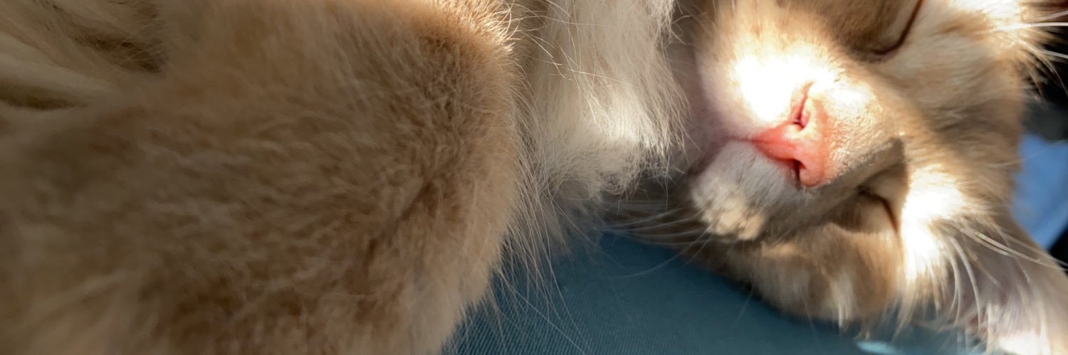 Classy_Fiend's profile banner image