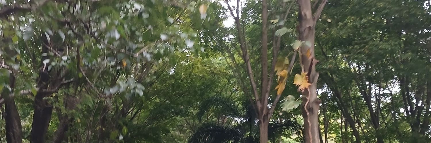 baguss banner