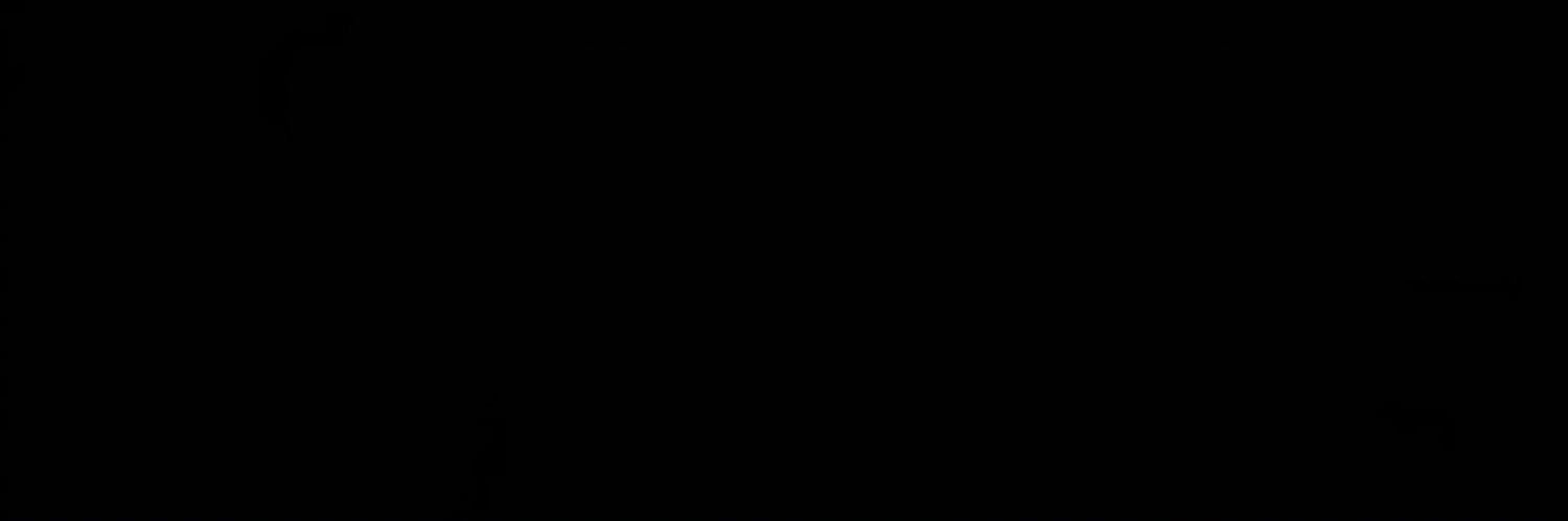 kevin Kalonji banner