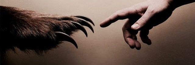 𝕰𝒎𝒎𝒆𝒕𝒕 banner