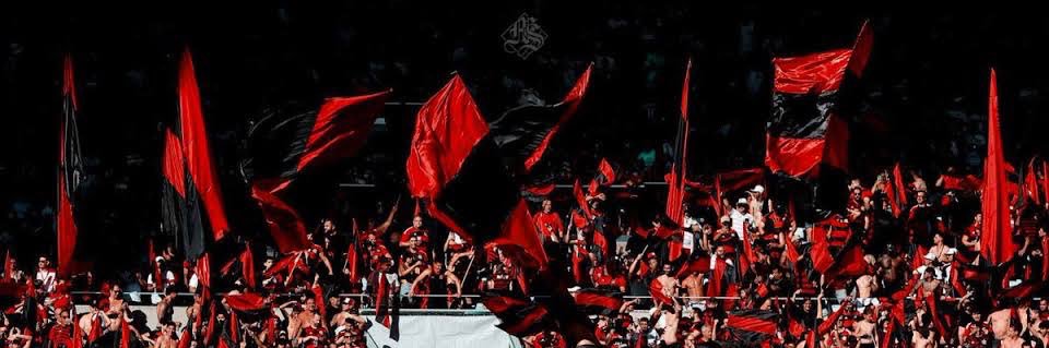 Enzo Minhoca 🇯🇵 banner