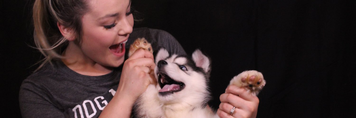 jaydenvasseur's profile banner image