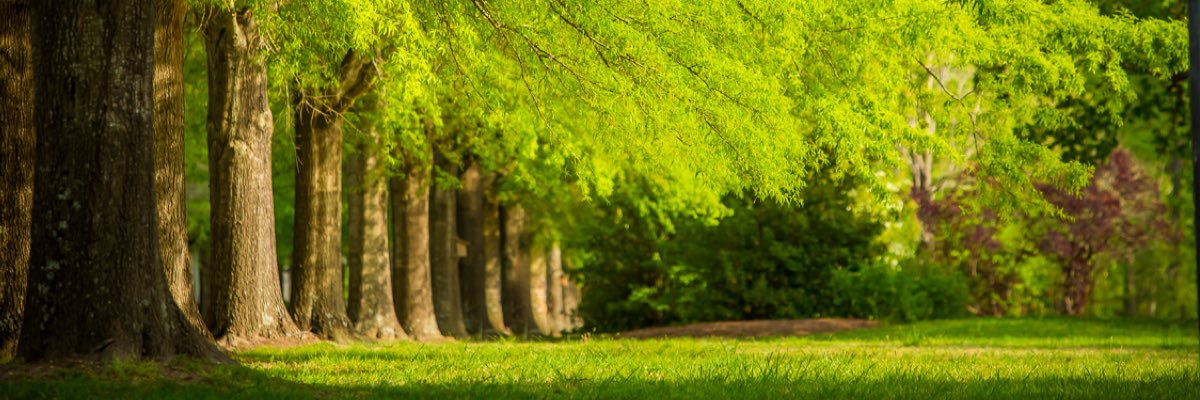 tchiettini's profile banner image