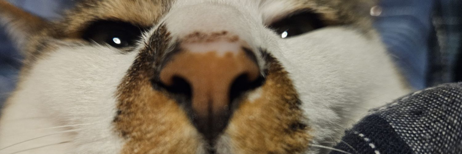 AKI-ｱｷ-低浮上になります banner