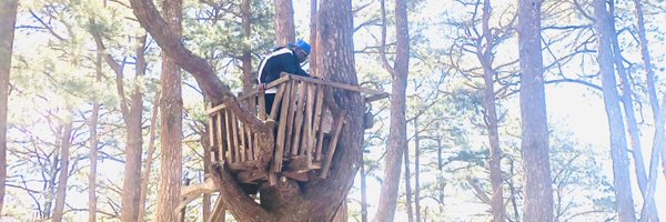 Dexy300 Profile Banner