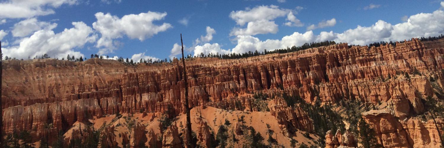 Mitchell Harris banner