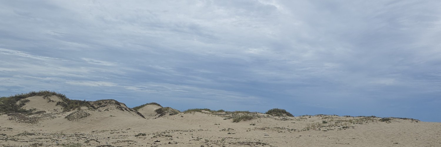 azaka_nta's profile banner image