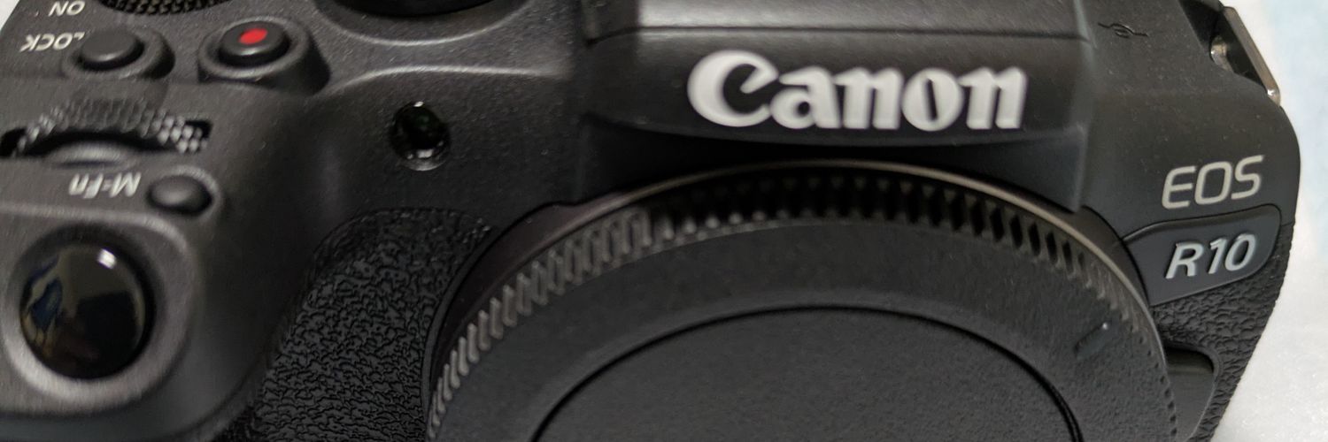 蒼🦈📷️'s banner