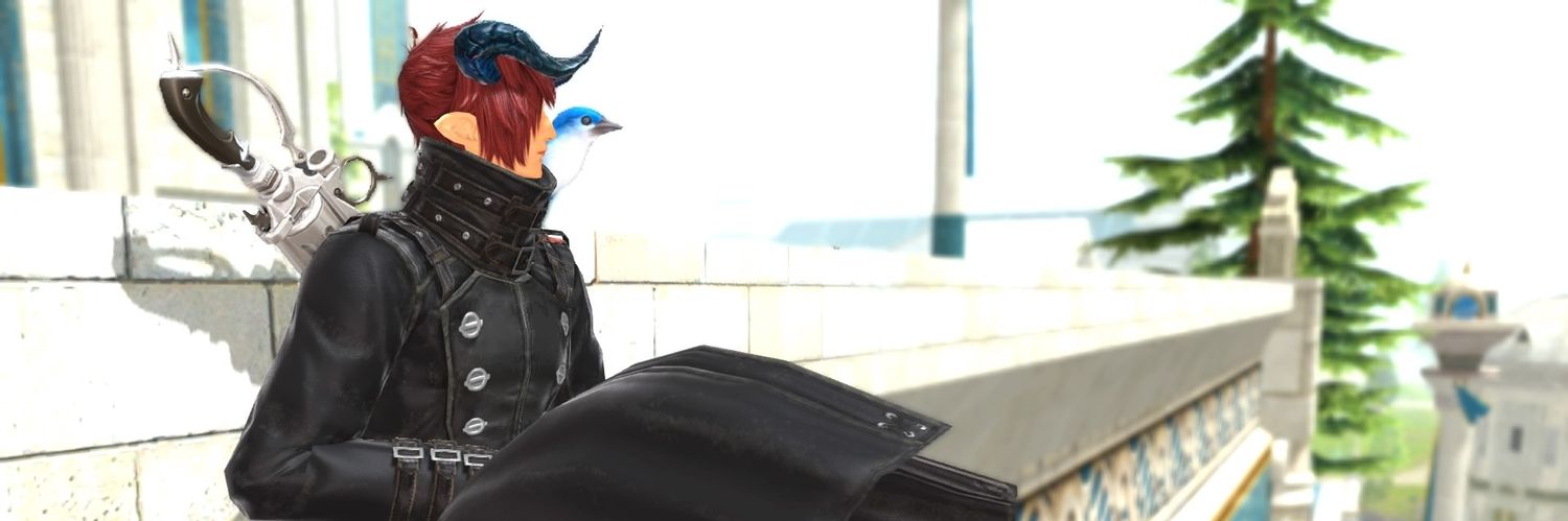 メレディス banner