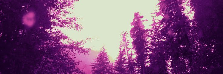 juggledwuggled's profile banner image