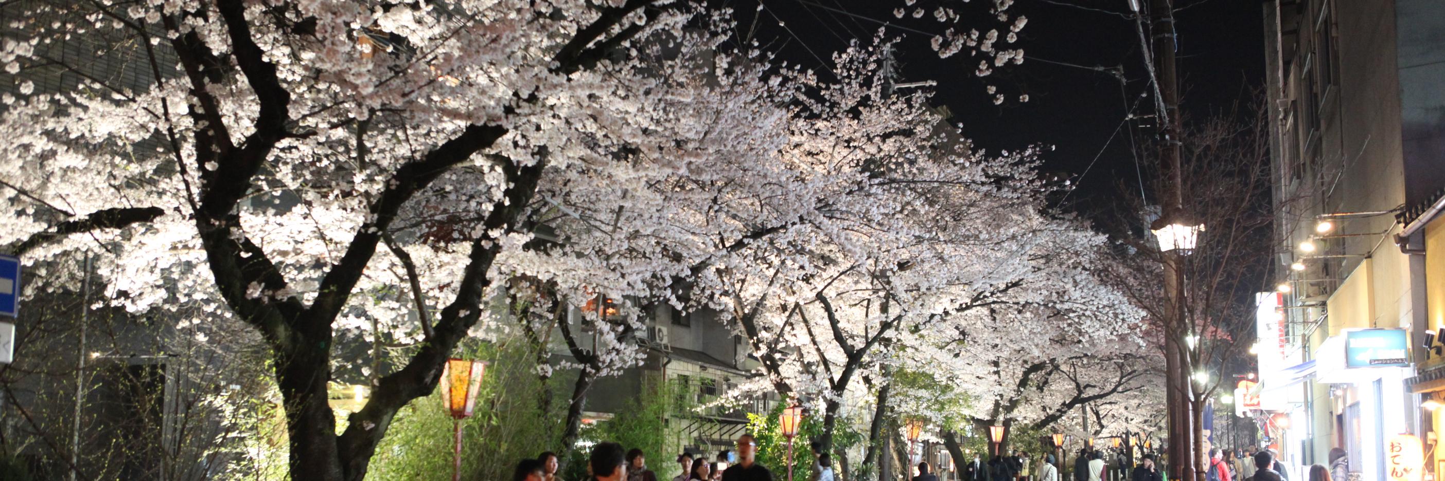 gleenn's profile banner image