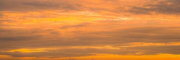 Anuuuu758 Profile Banner